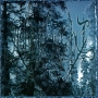 Ashen Light Песнь Велеса Формат: Audio CD (Jewel Case) Дистрибьюторы: More Hate Productions, Мистерия Звука Россия Лицензионные товары Характеристики аудионосителей 2009 г Альбом: Российское издание инфо 4564z.